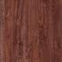 CD06081-10