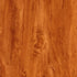 CD06081-13