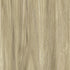 CD19006-03