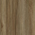 CD19006-04