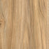 CD19006-07