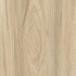 CD19006-09