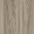 CD19006-13 1#