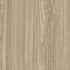 CD19008-07