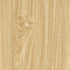 CD19008-10