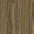 CD19008-18