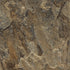CD54001-17