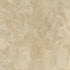 CD54001-20