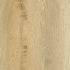 CDW191019-02
