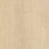 CDW191032EL-13