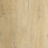 CDW200409EL-13