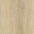 CDW200617EL-03