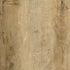 CDW200812EL-06