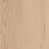 CDW221003EXL 01BY