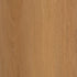 CDW231107EXL-01BY