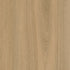 CDW240803EXL-02BY