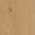 CDW240902EXL-14BY