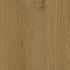 CDW2485EXL(A)-12
