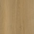 CDW250116EL-01BY