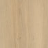 CDW250116EL-06BY