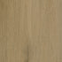 CDW250123EXL-02BY