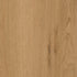 CDW250126EXL-01BY