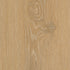 CDW250146EL-03BY