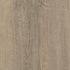 CDW250201EXL-06BY