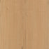 CDW250204EL-11BY