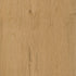 CDW250207EL-03BY