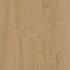 CDW250208EL-03BY