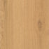 CDW250219EXL-01BY