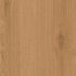 CDW250219EXL-08BY