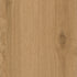 CDW250219EXL-09BY