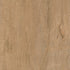 CDW250227E-01BY