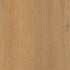 CDW250319EL-04BY