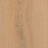 CDW250714EL-01BY