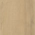 CDW250723EXL-03BY