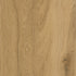 CDW250809EXL-01BY