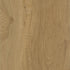 CDW250809EXL-02BY