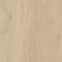 CDW250809EXL-05BY