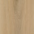 CDW250813EXL-10BY
