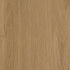 CDW251006EXL-03BY