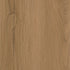 CDW251006EXL-12BY