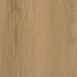 CDW251006EXL-14BY