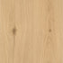 CDW260103EXL-04BY