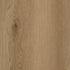 CDW260202EXL-07BY