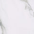 YJM210309L-02