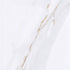YJM250117L-01